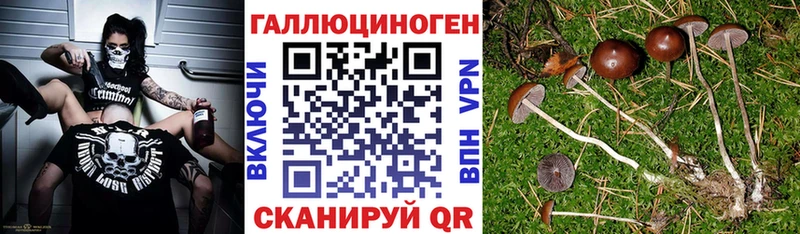 Купить закладки  Яранск  Псилоцибиновые грибы прущие грибы 